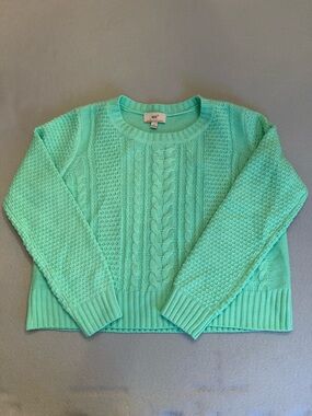 iris Mint Cable Knit Crewneck Sweater - Mint Green